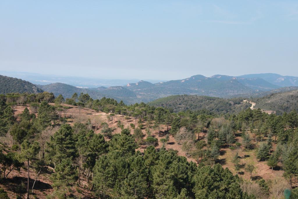 L'Estirado Des Adrets Hotel Les Adrets-de-l'Esterel Kültér fotó